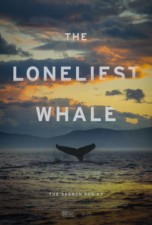 The Loneliest Whale