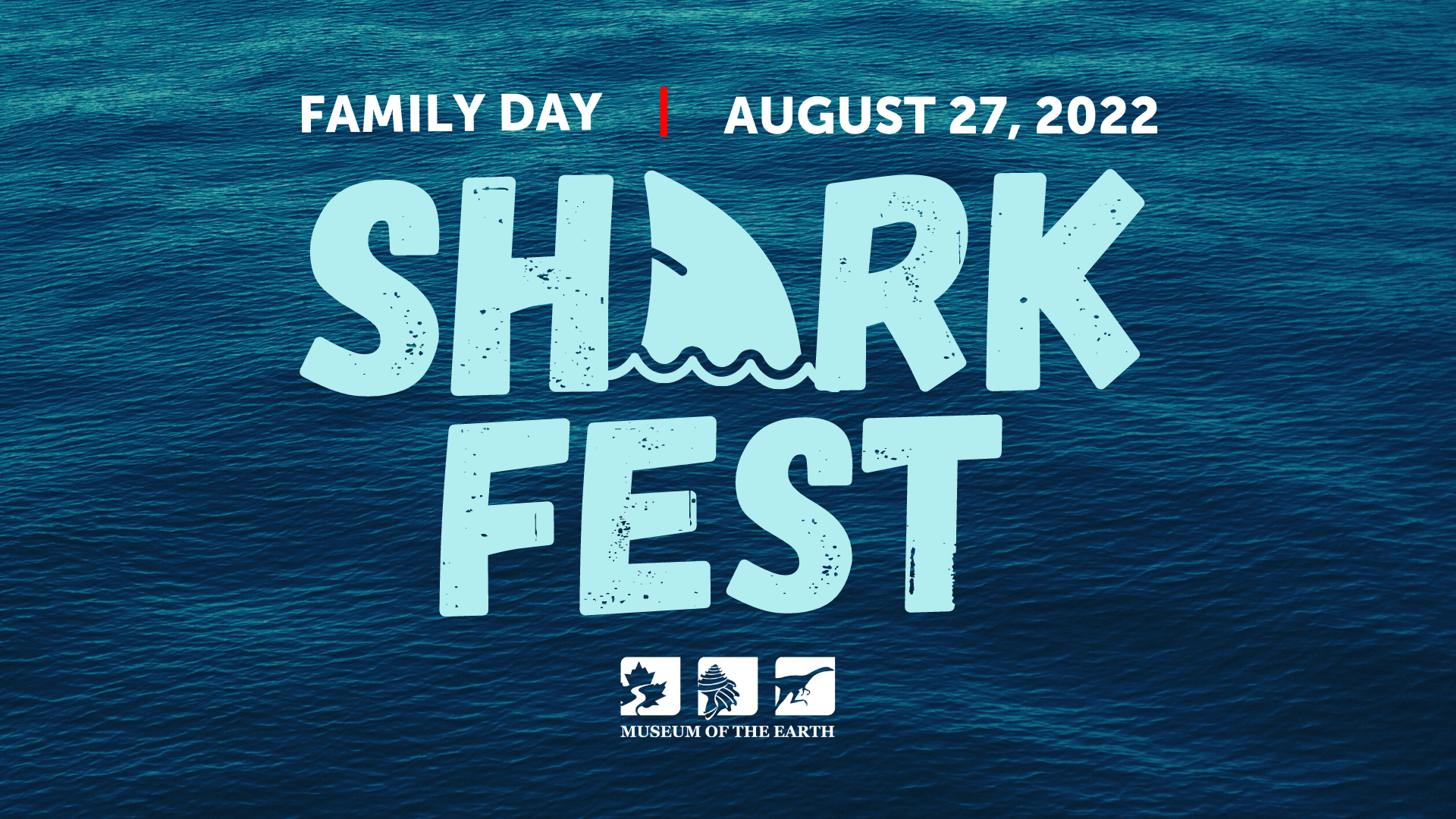 Shark Fest