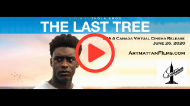 Th Last Treee