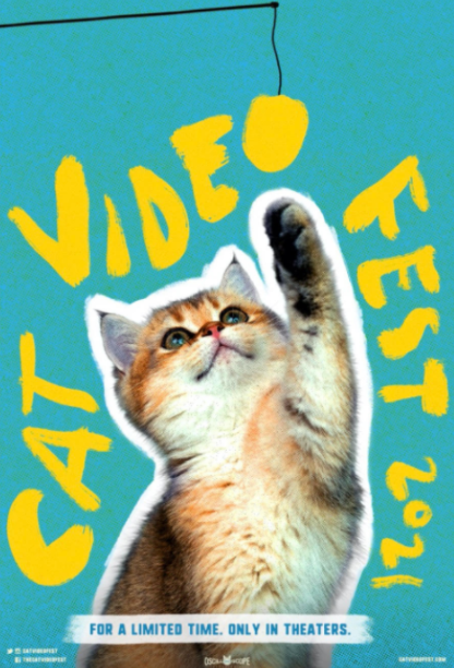 Cat Video Fest